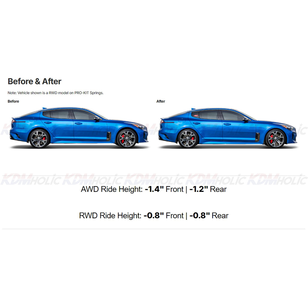 EibachPro-KitKiaStinger3.